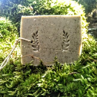 Shampoing solide et naturel à base de stévia